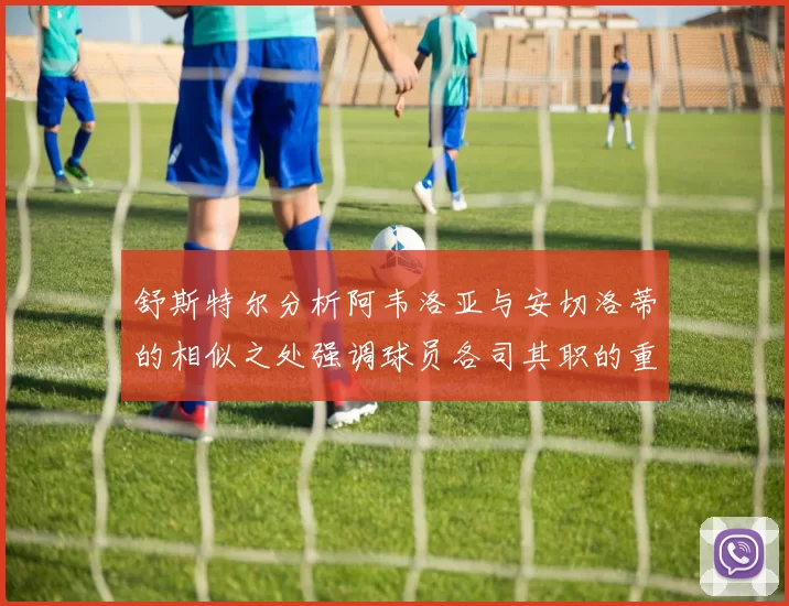 舒斯特尔分析阿韦洛亚与安切洛蒂的相似之处强调球员各司其职的重要性